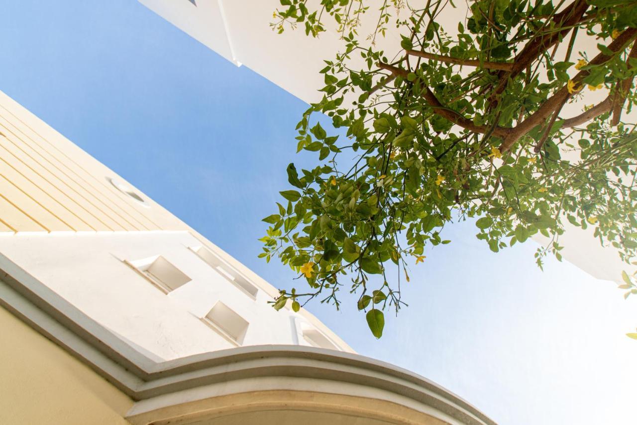 Diamante Beachfront Suites Xylokastro Dış mekan fotoğraf
